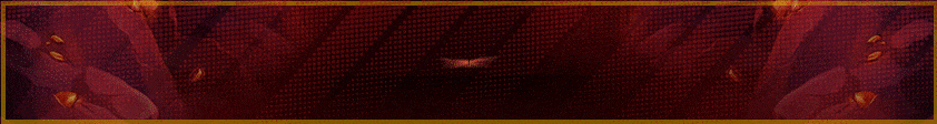 Banner Promo